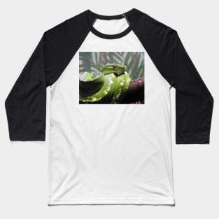 Green Tree Python Baseball T-Shirt